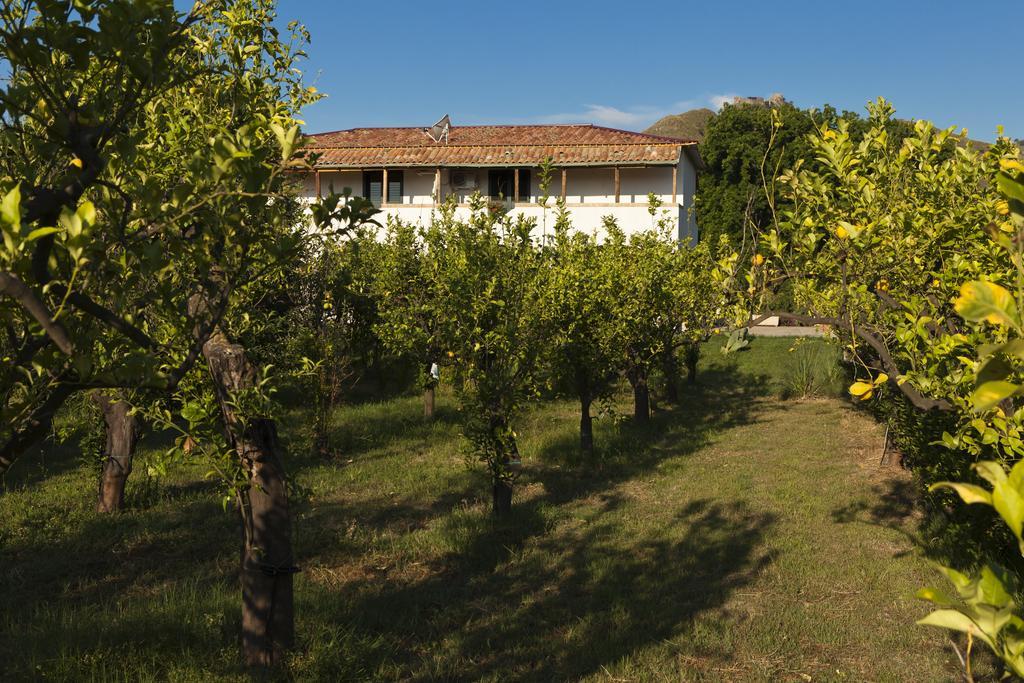 Agriturismo Terrenia Villa Trappitello Exterior photo